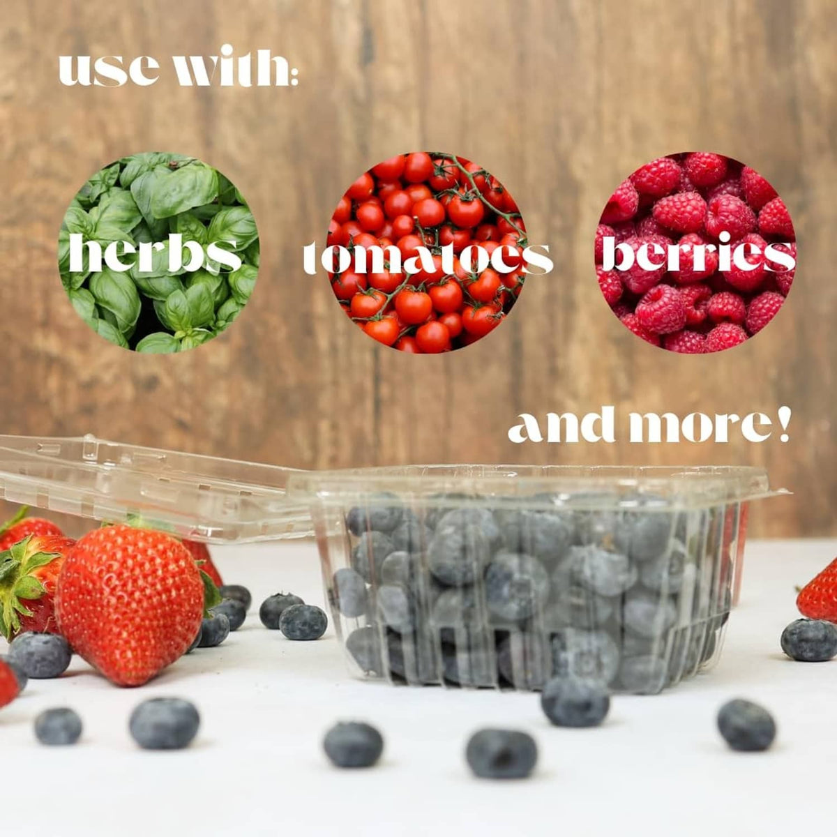 Clear plastic berry basket with lid, surrounded by strawberries and blueberries