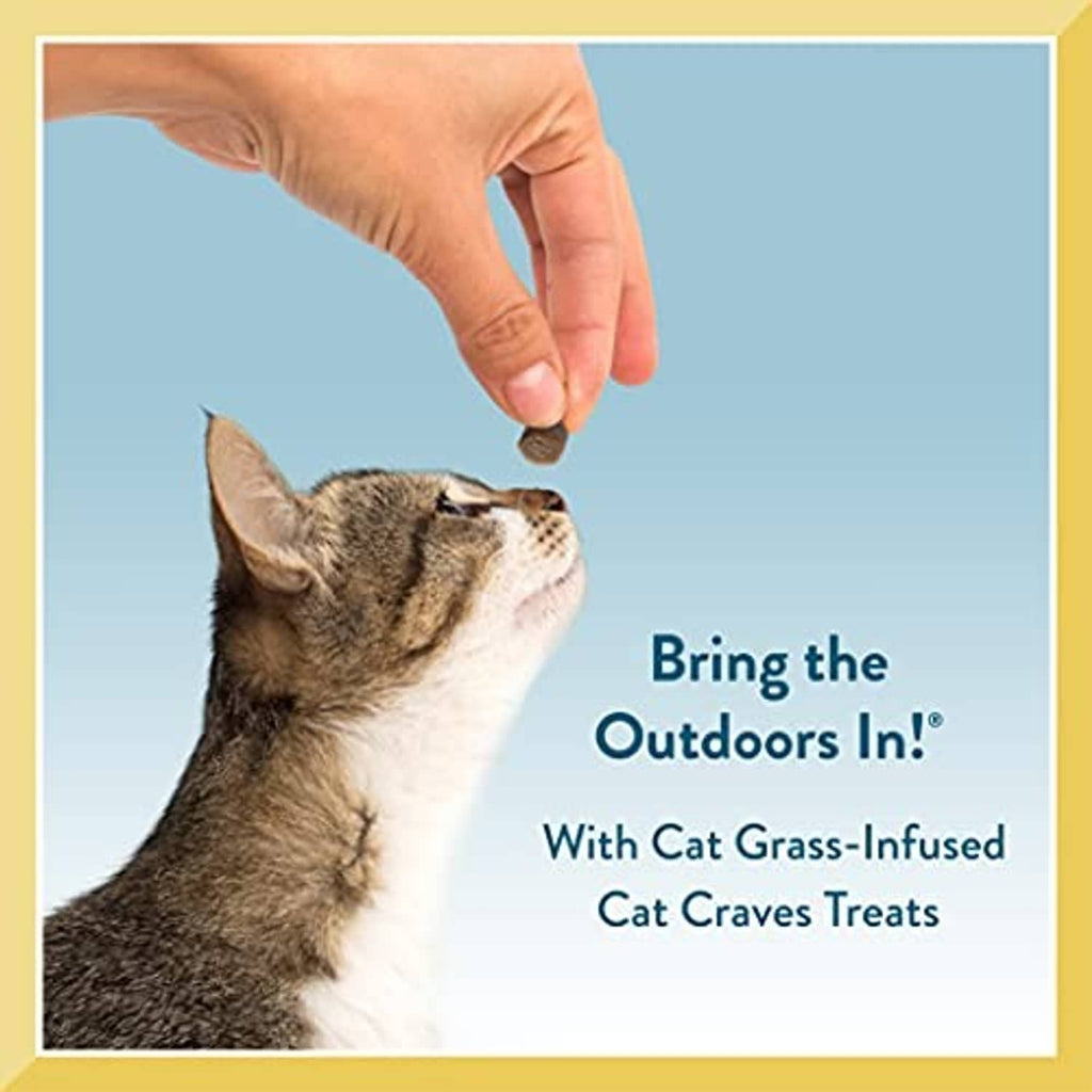 Hand offering cat grass–infused cat treats to a cat, outdoor-themed graphic