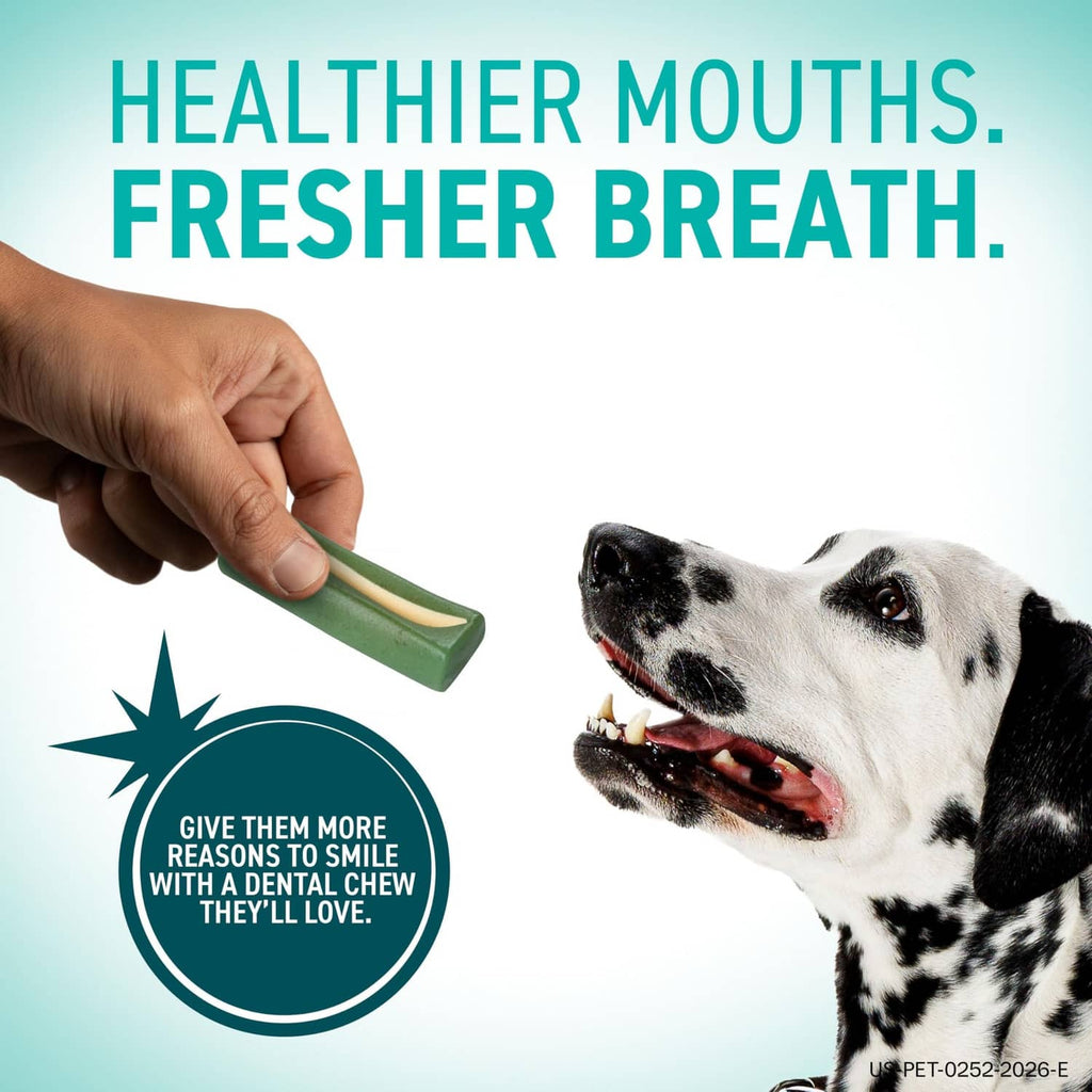 Green dental hygiene chew stick with beige center