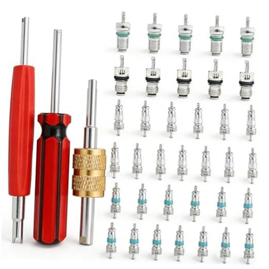 AC valve core kit with red handle core remover and assorted metal valve cores