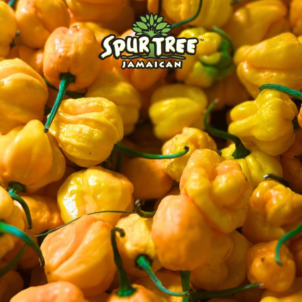 Spur Tree Jamaican scotch bonnet peppers with Spur Tree logo