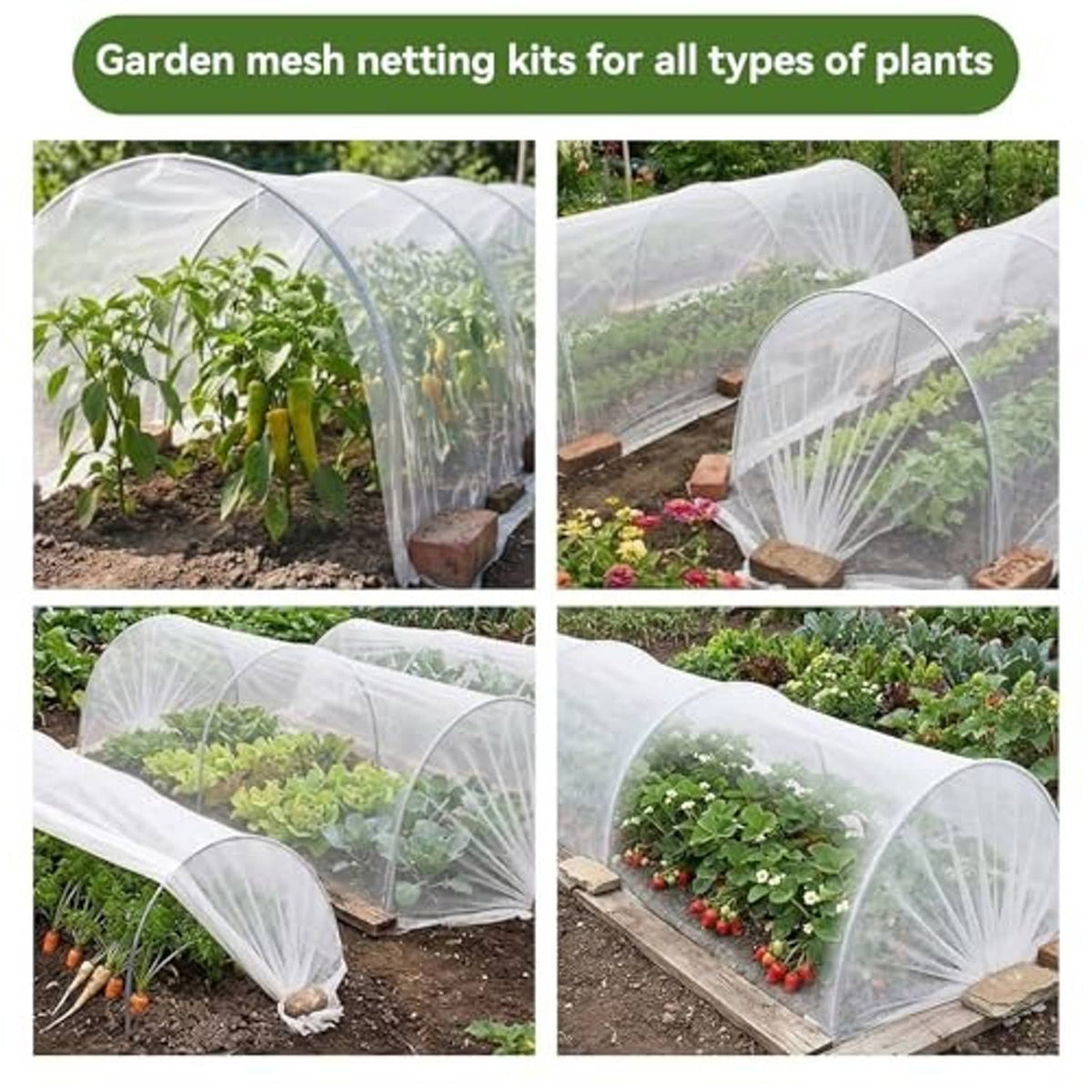 White mesh garden tunnel with hoops covering vegetable plants on raised beds
