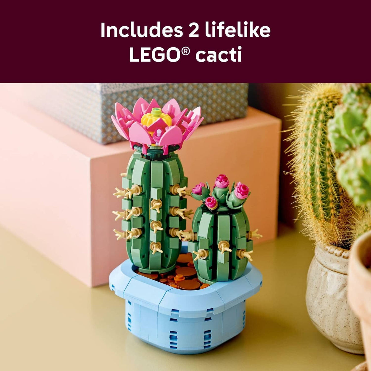 LEGO Botanicals flowering cactus set with two cacti on a light blue round base