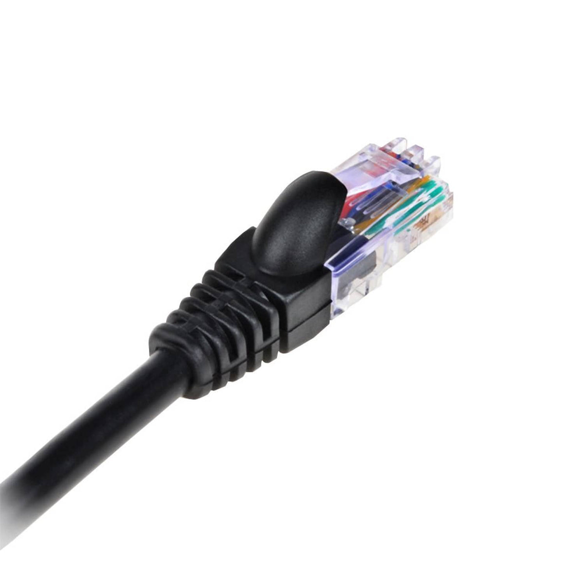 Transparent RJ45 plug end on a black cable with molded strain relief