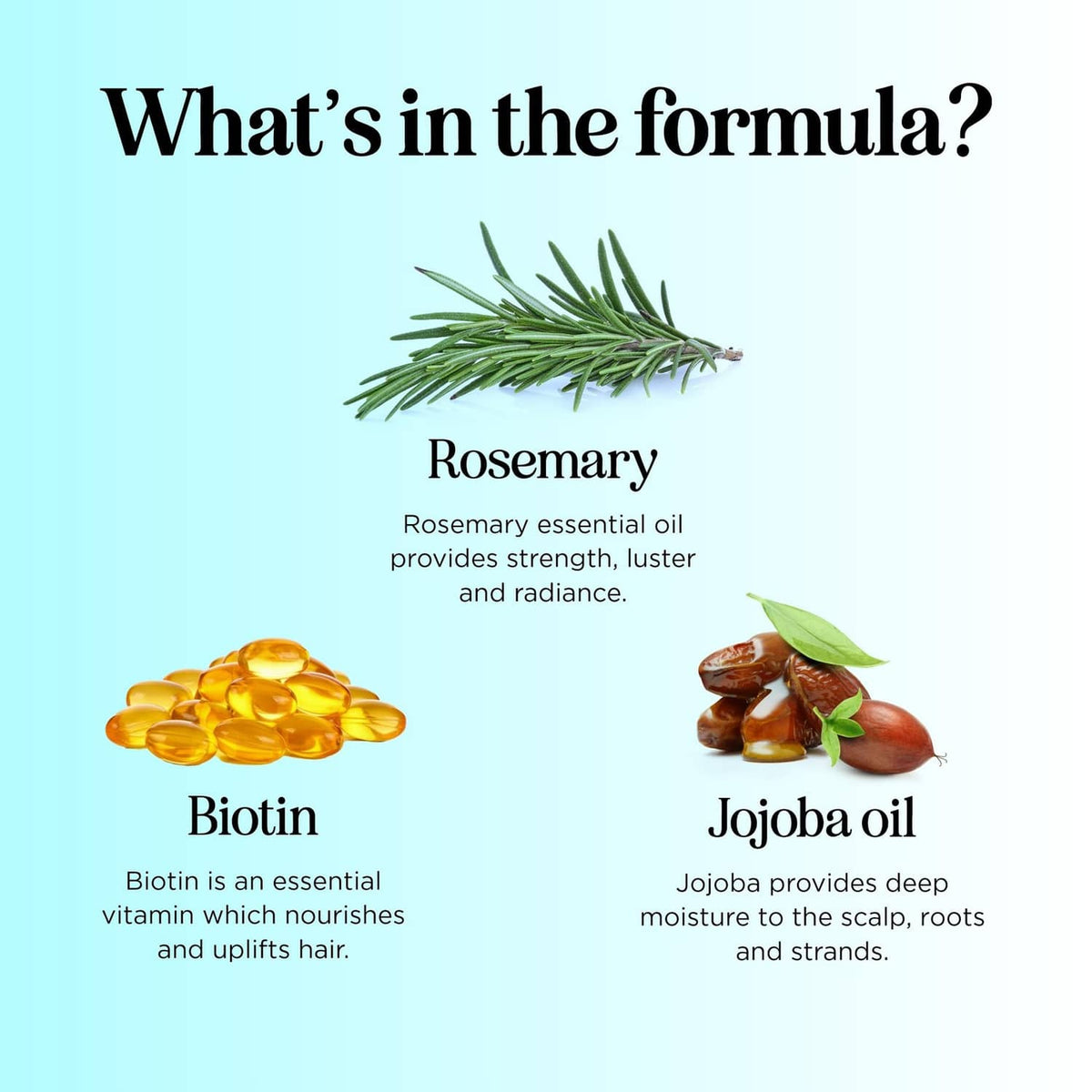 Hair care ingredients graphic: rosemary, biotin, and jojoba oil