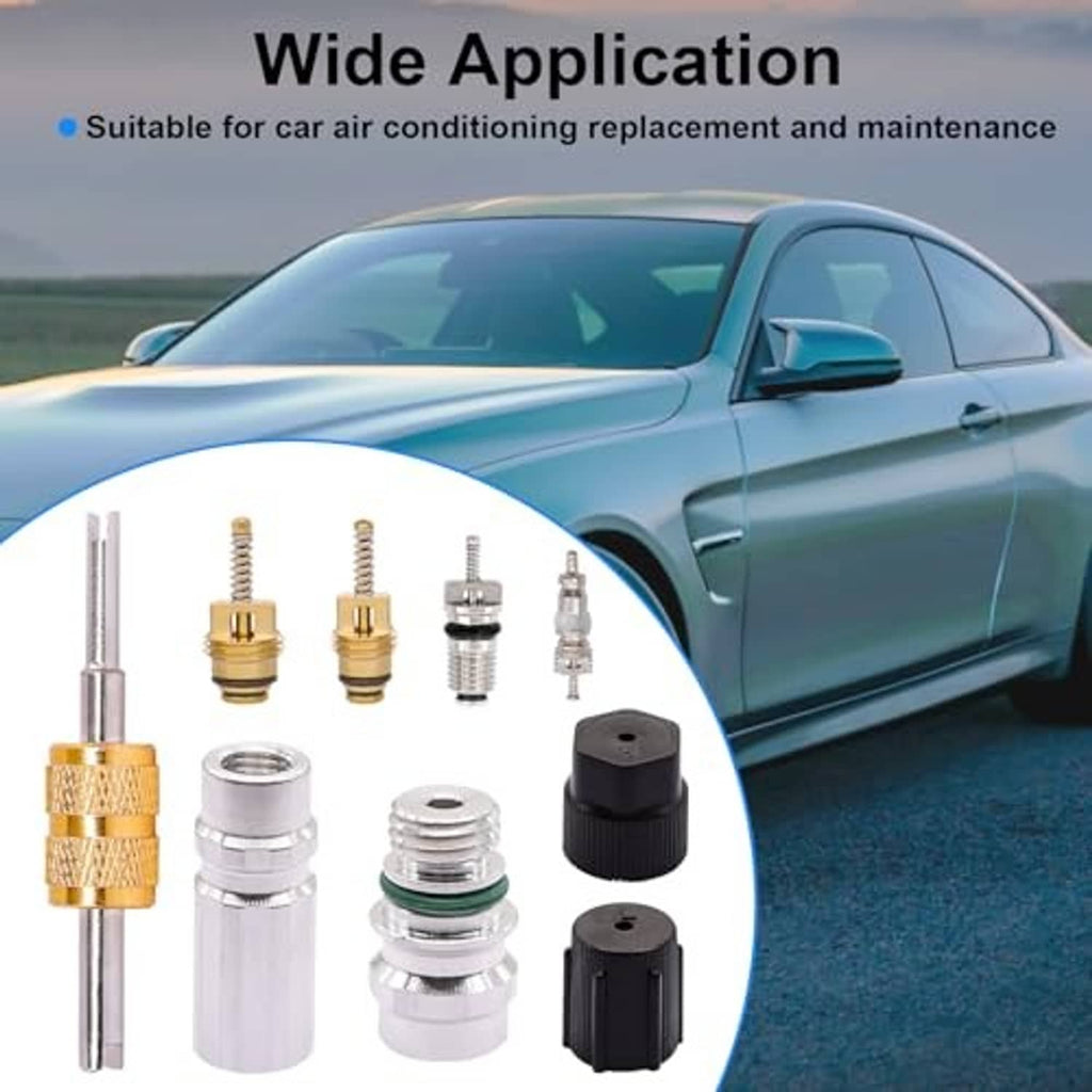 Car A/C valve core kit components with removal tool and assorted valve cores and caps