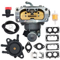 Carburetor kit with assembled carburetor, hoses, fuel filter, and multiple gasket set pieces