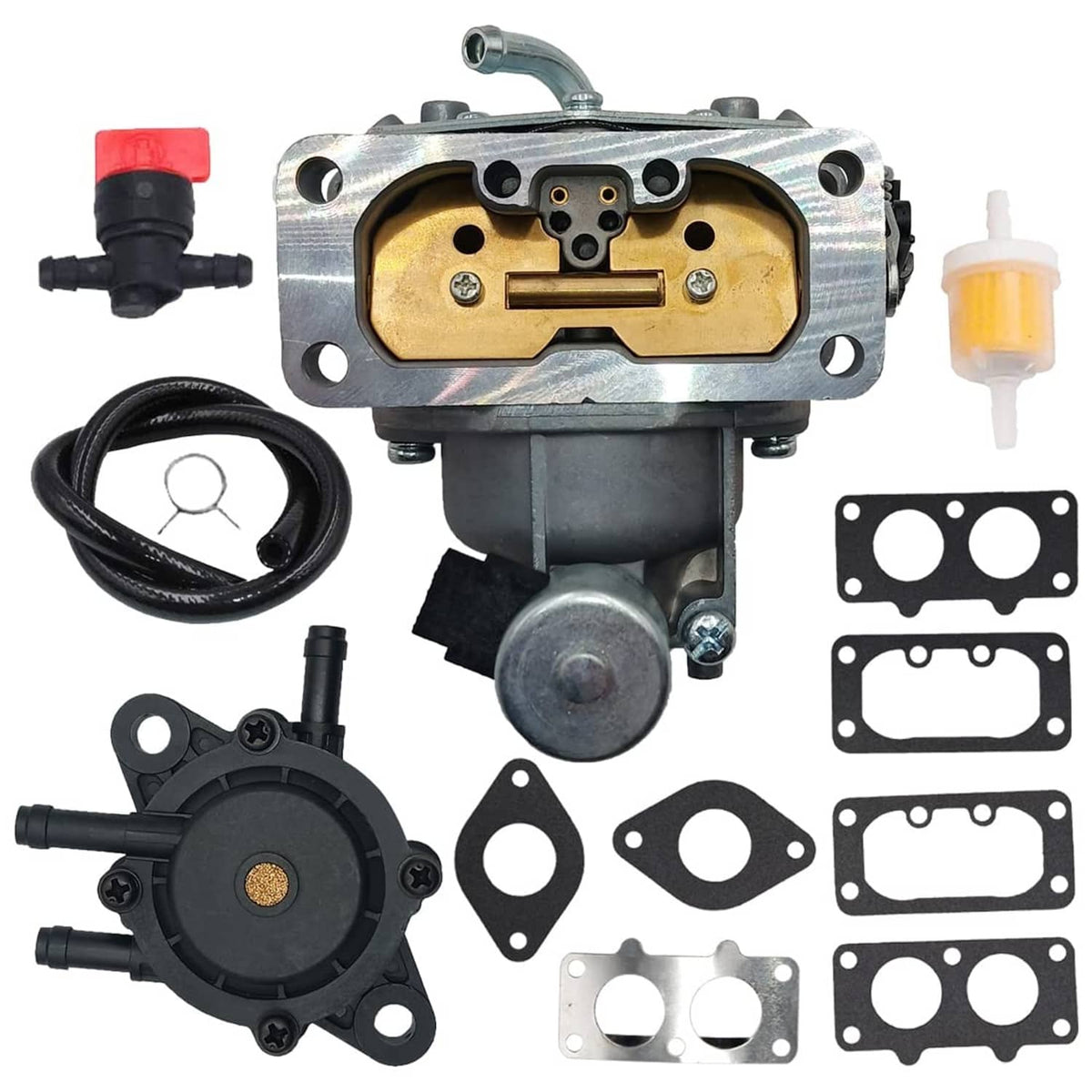 Carburetor kit with assembled carburetor, hoses, fuel filter, and multiple gasket set pieces