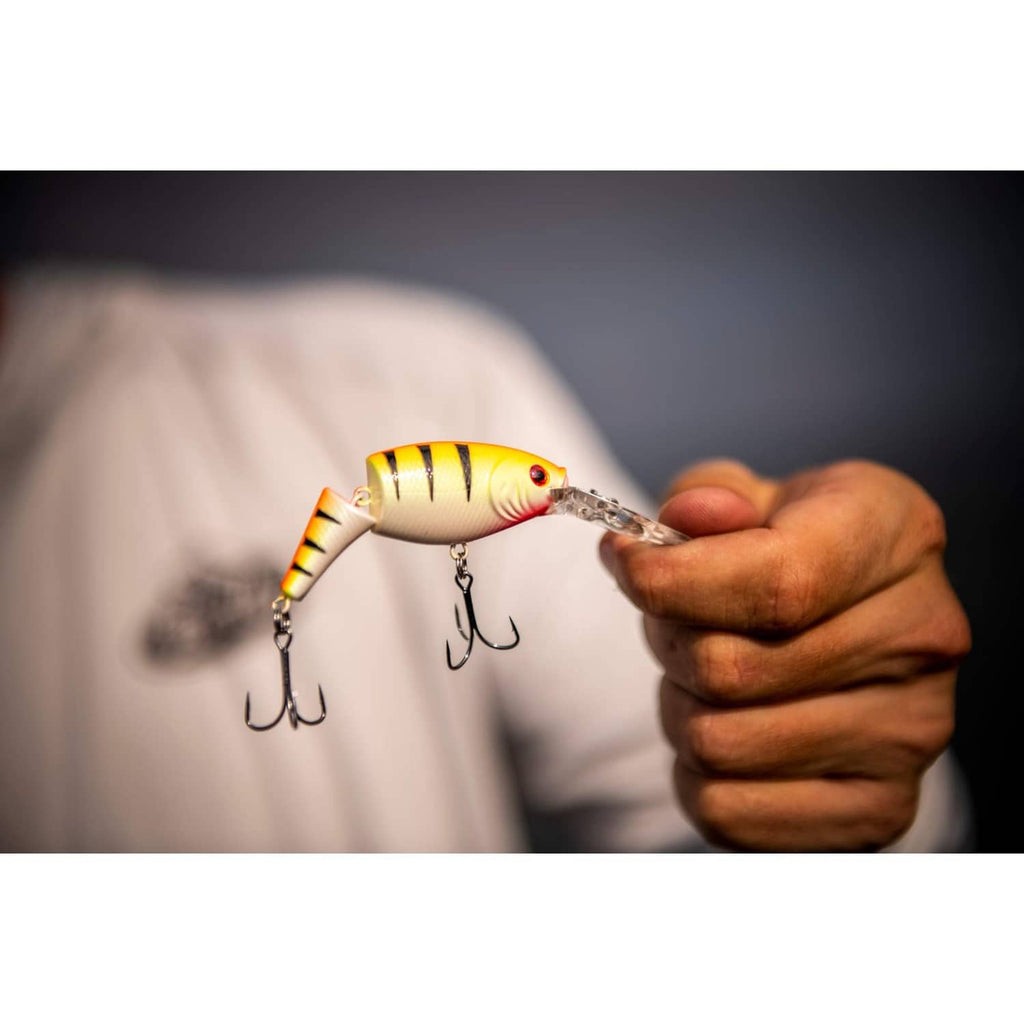 Cream and orange jointed crankbait lure with black stripes, held in a fisherman's hand