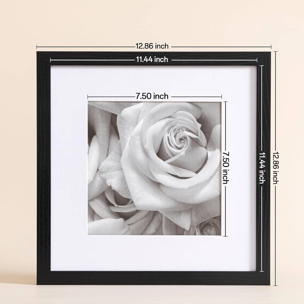Single 12x12 picture frame with clear acrylic cover and grayscale rose photo, size labeled.