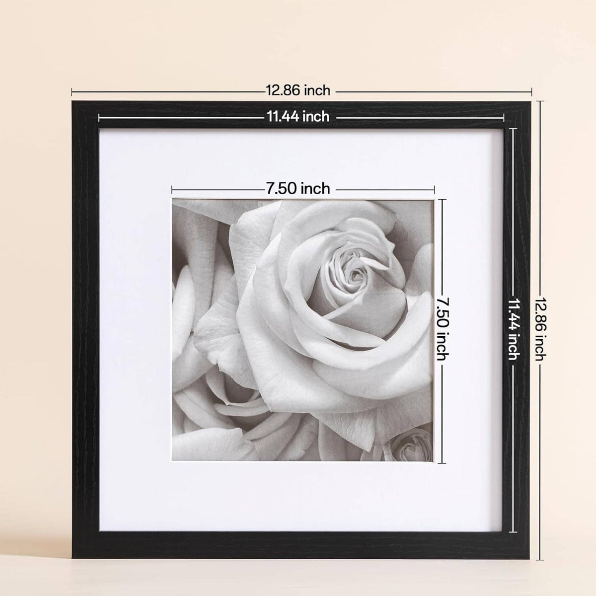 Single 12x12 picture frame with clear acrylic cover and grayscale rose photo, size labeled.