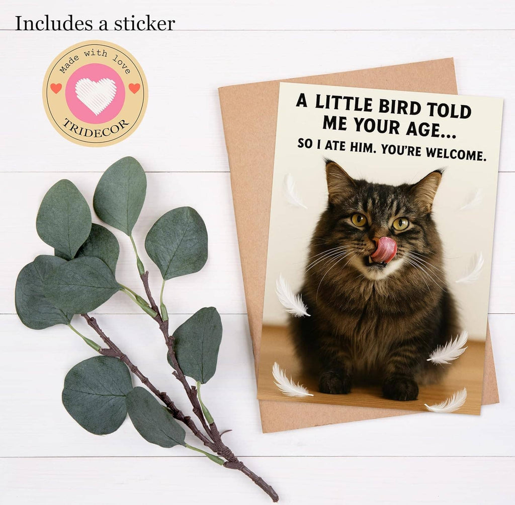 Funny birthday card with tabby cat and feathers, includes TRIDECOR sticker