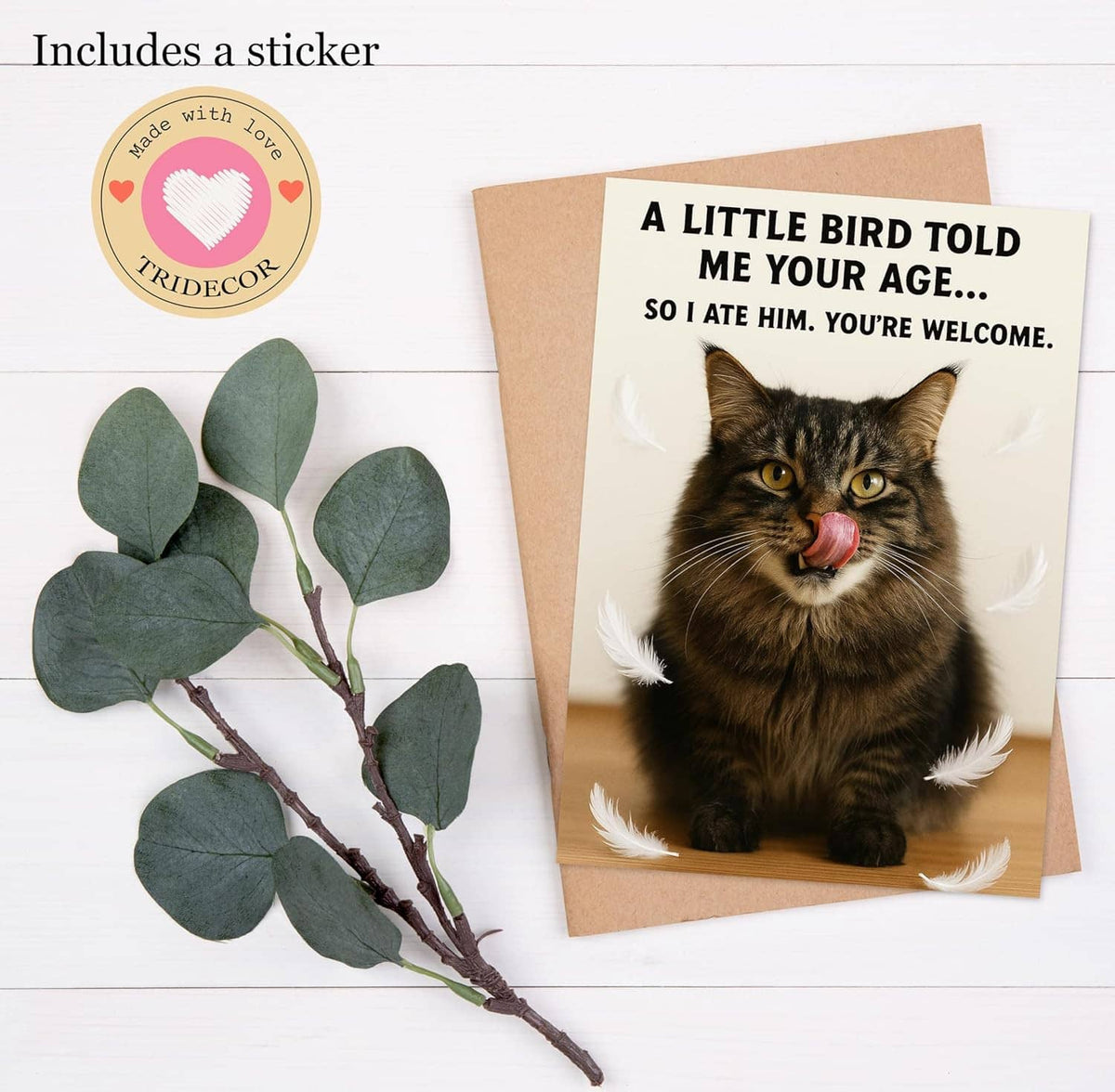 Funny birthday card with tabby cat and feathers, includes TRIDECOR sticker