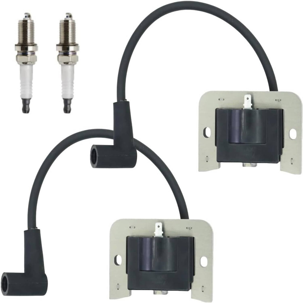 Two-piece ignition module and spark plug set with black cables and two spark plugs