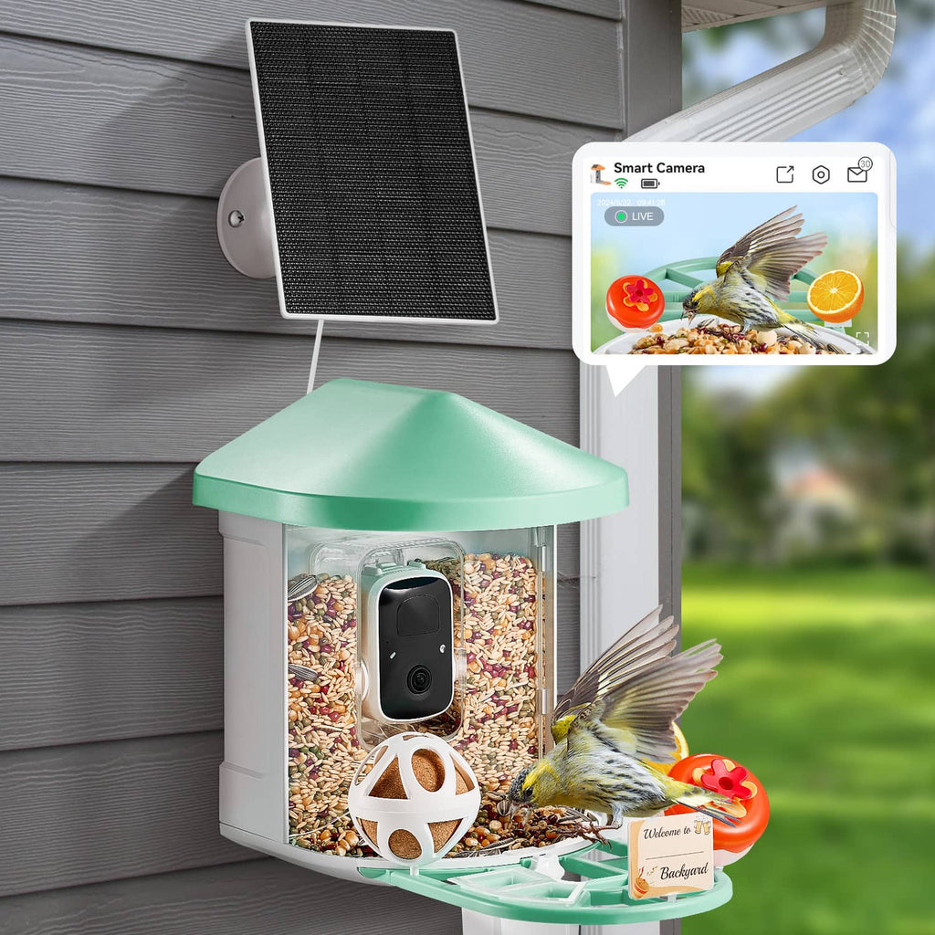 Smart bird feeder with mint roof, clear viewing window, black camera, and side solar panel.