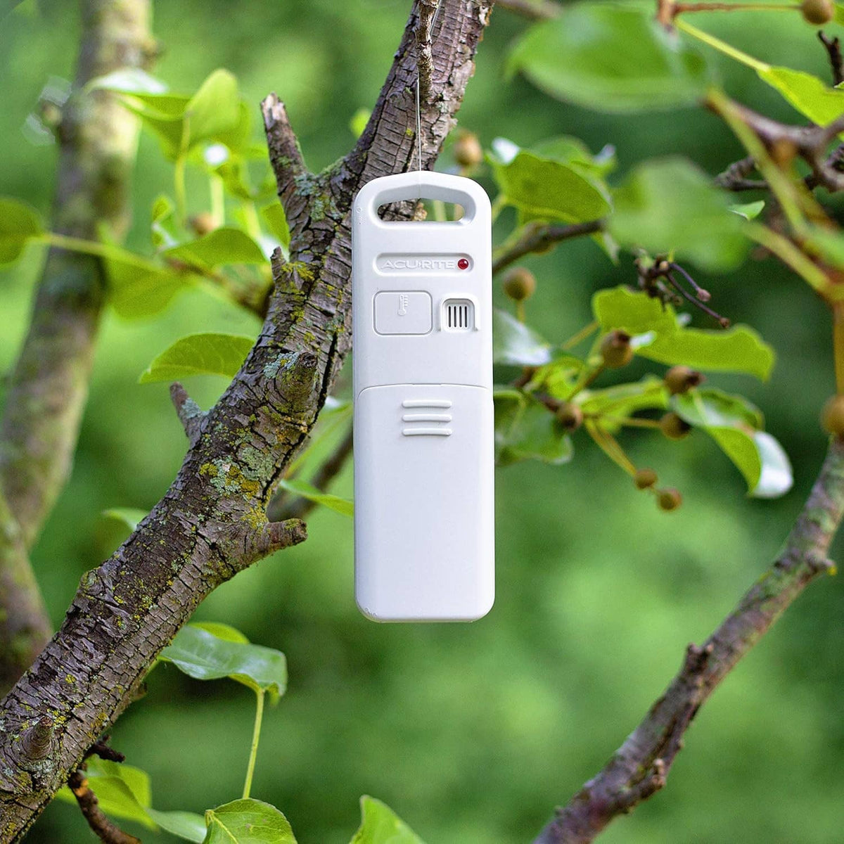 White outdoor sensor housing clipped to a tree branch