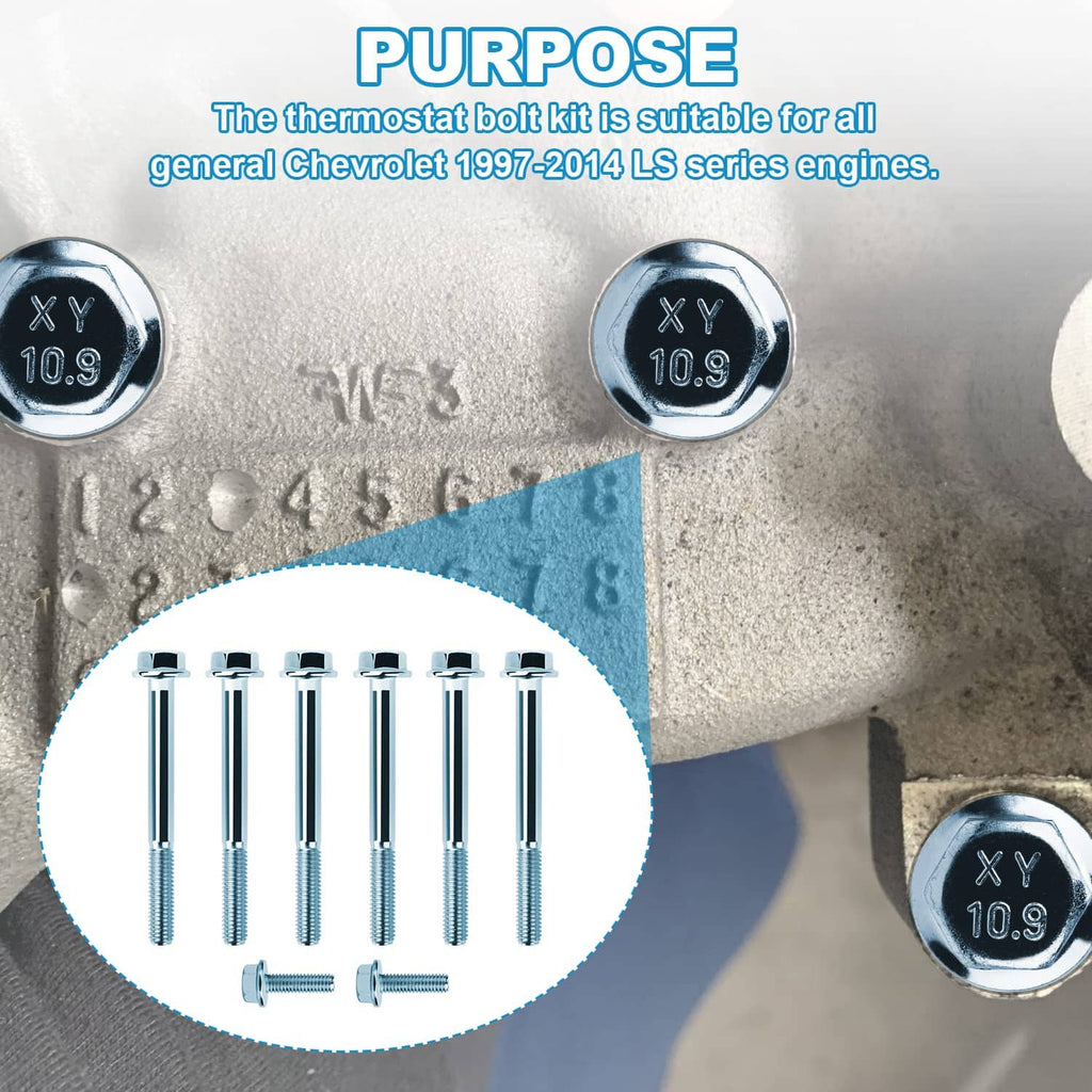 Water pump bolt kit with chrome hex bolts and washers, shown close-up with a bolt set inset