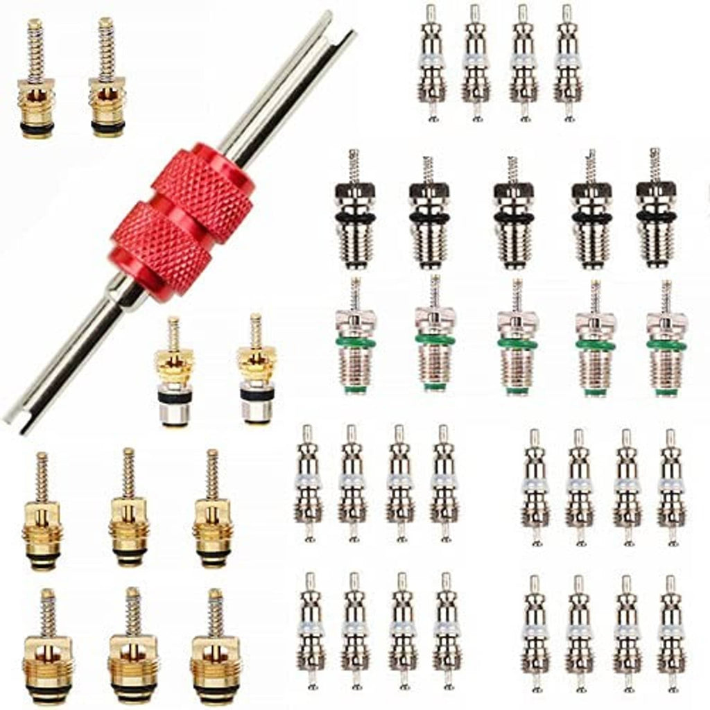 AC valve core removal tool with assorted R12/R134a valve cores, neatly arranged