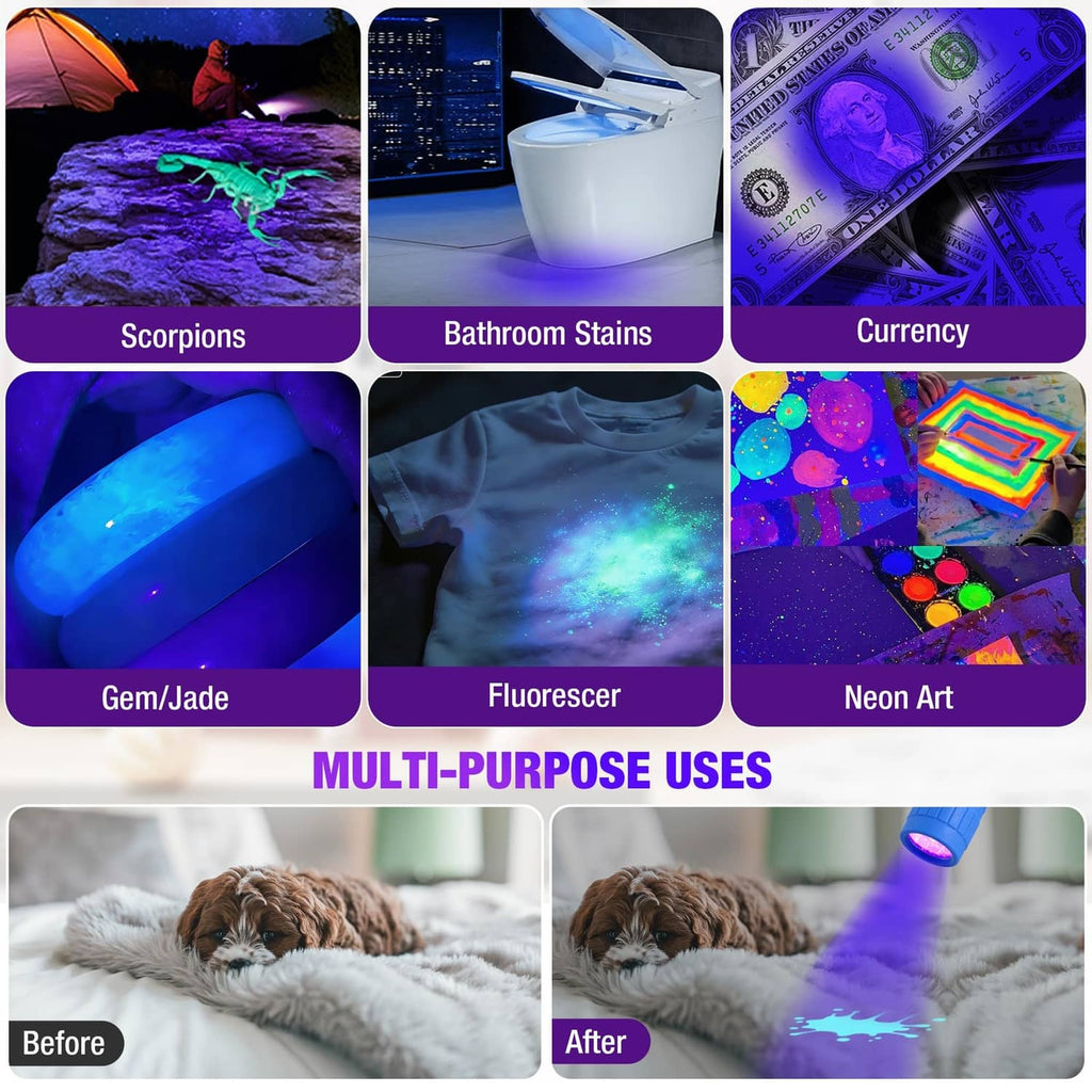 UV blacklight multi-purpose uses grid showing glowing scorpions, stains, currency, and more