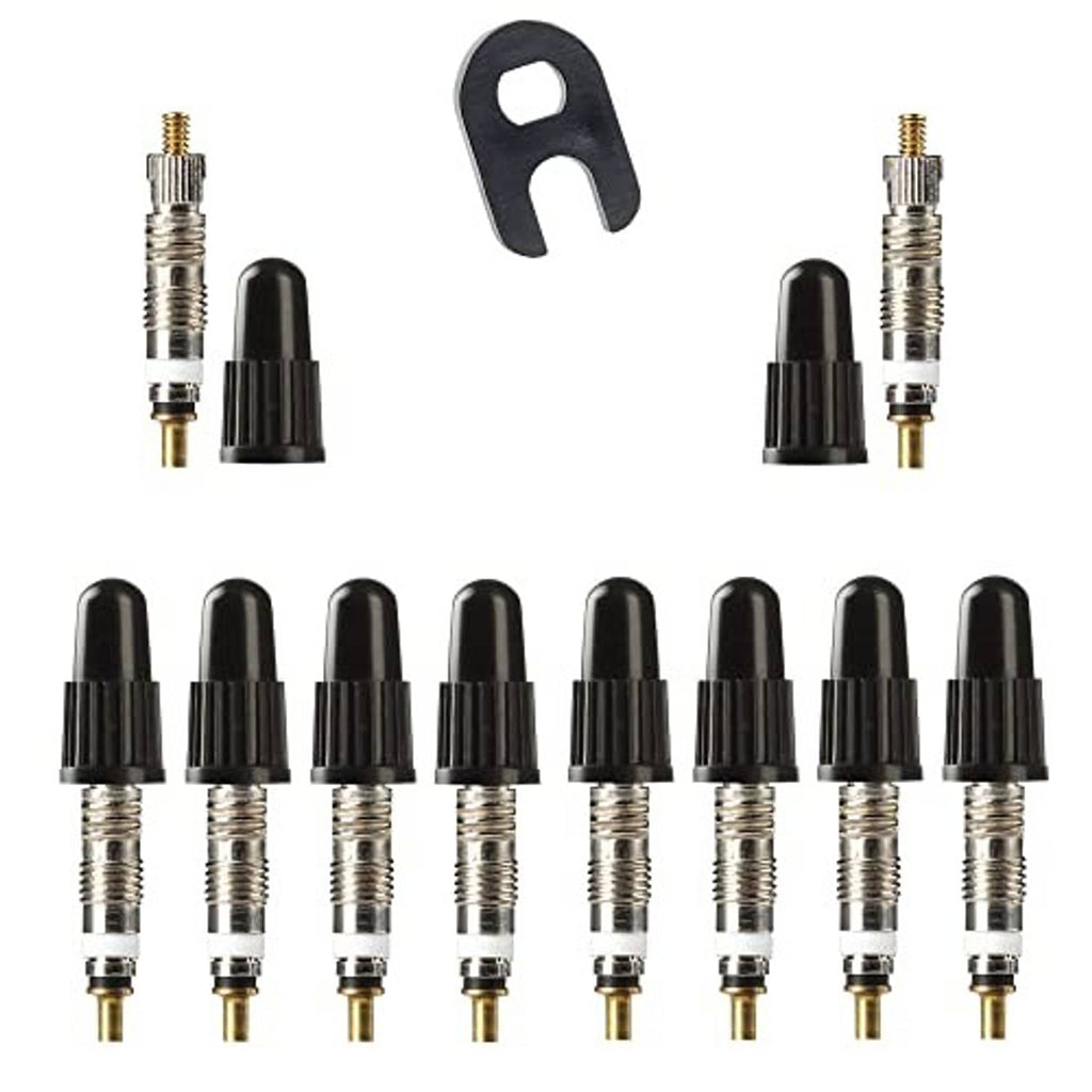 Tubeless Presta valve cores and black caps with removal tool, shown close up.