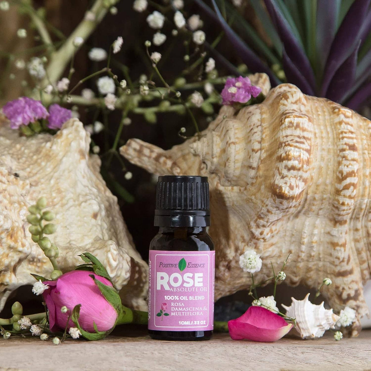 Rose absolute oil bottle on a tabletop with shells and pink rose petals