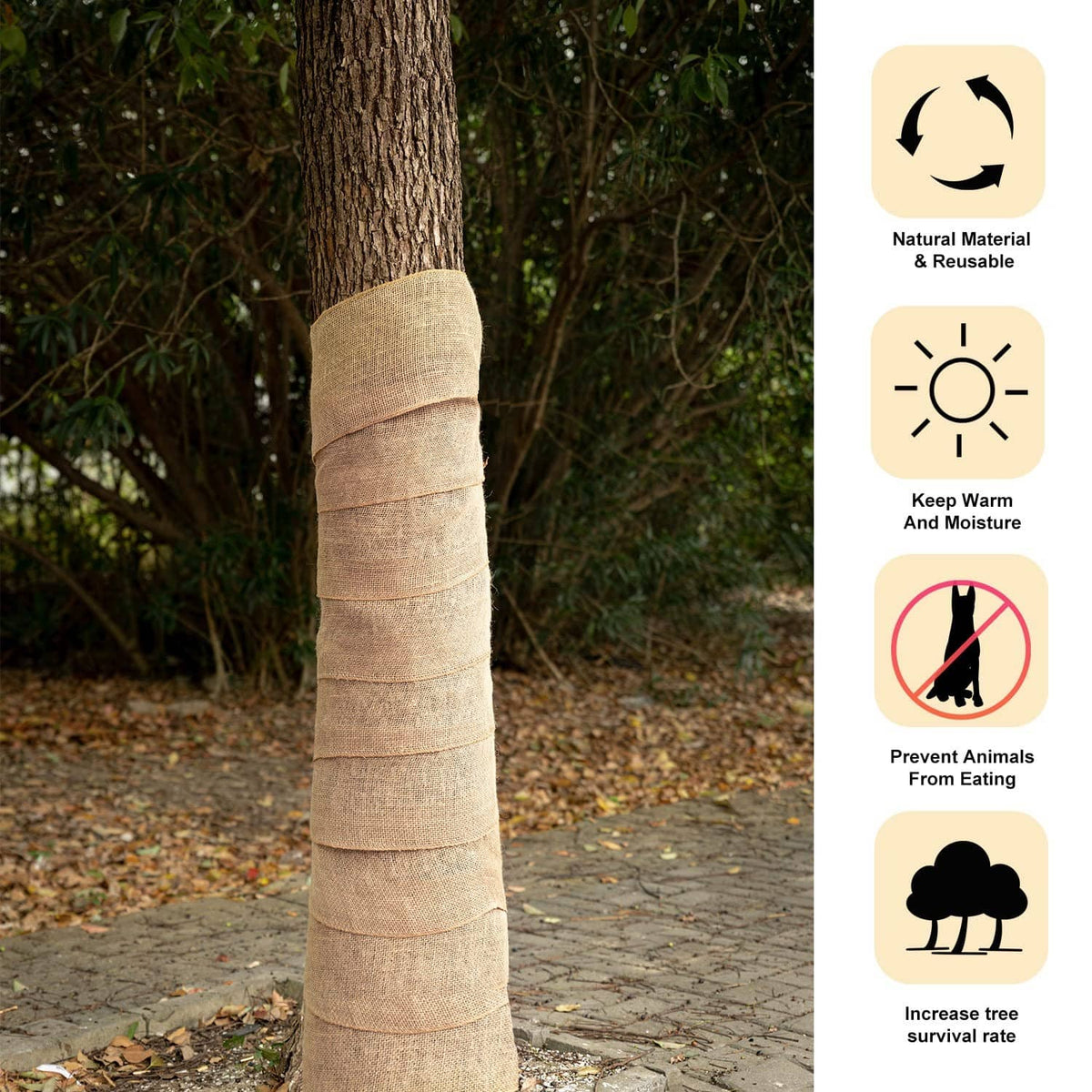 Burlap tree wrap around a trunk with stacked bands, reusable winter cover
