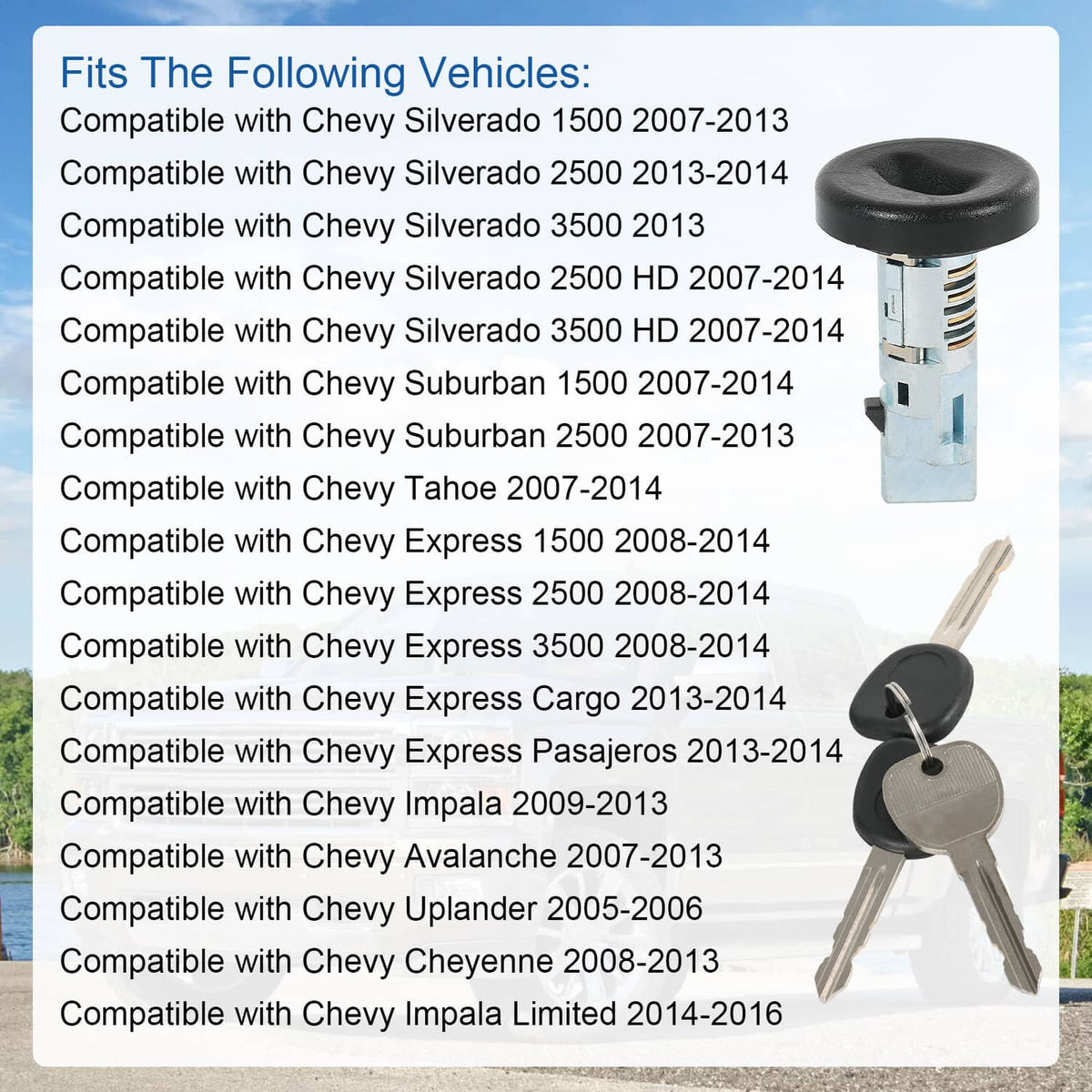 Ignition lock cylinder with keys beside it, shown on compatibility card