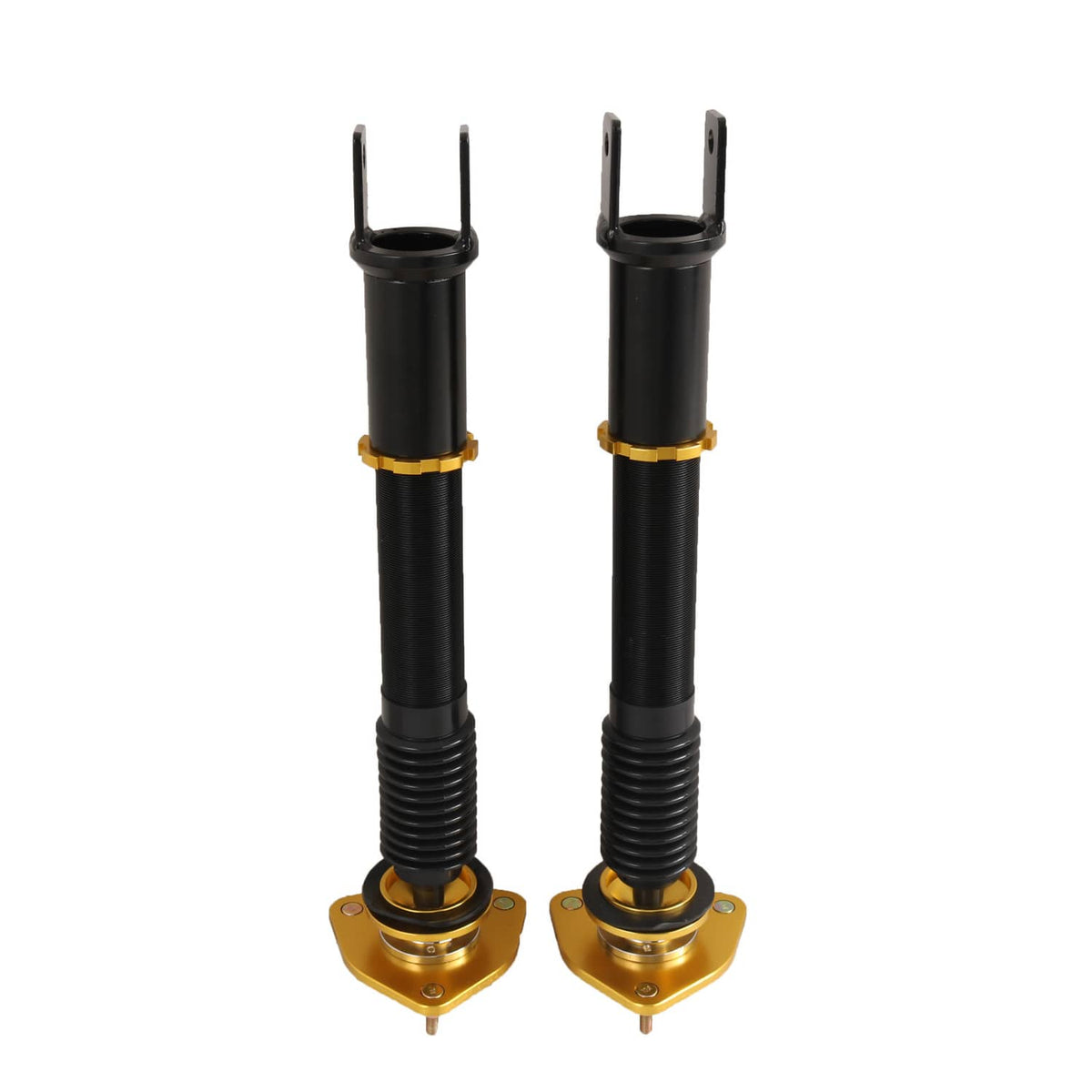 Two coilover shocks shown end-on with black bodies and gold spring seat bases