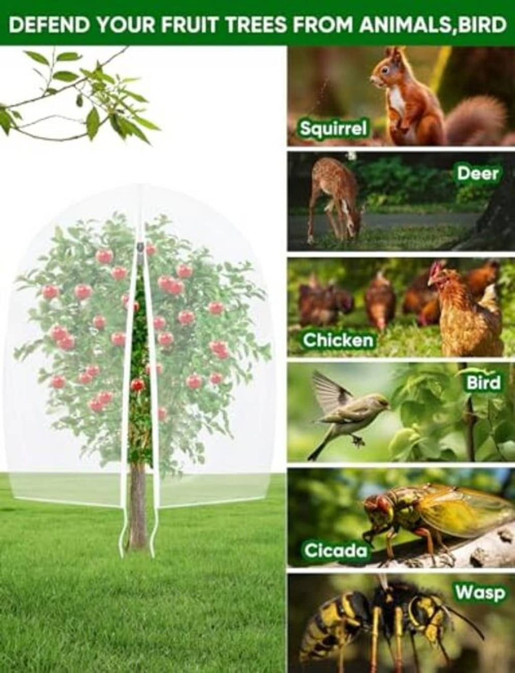White mesh fruit tree netting with zipper cover, protecting fruit trees from garden pests