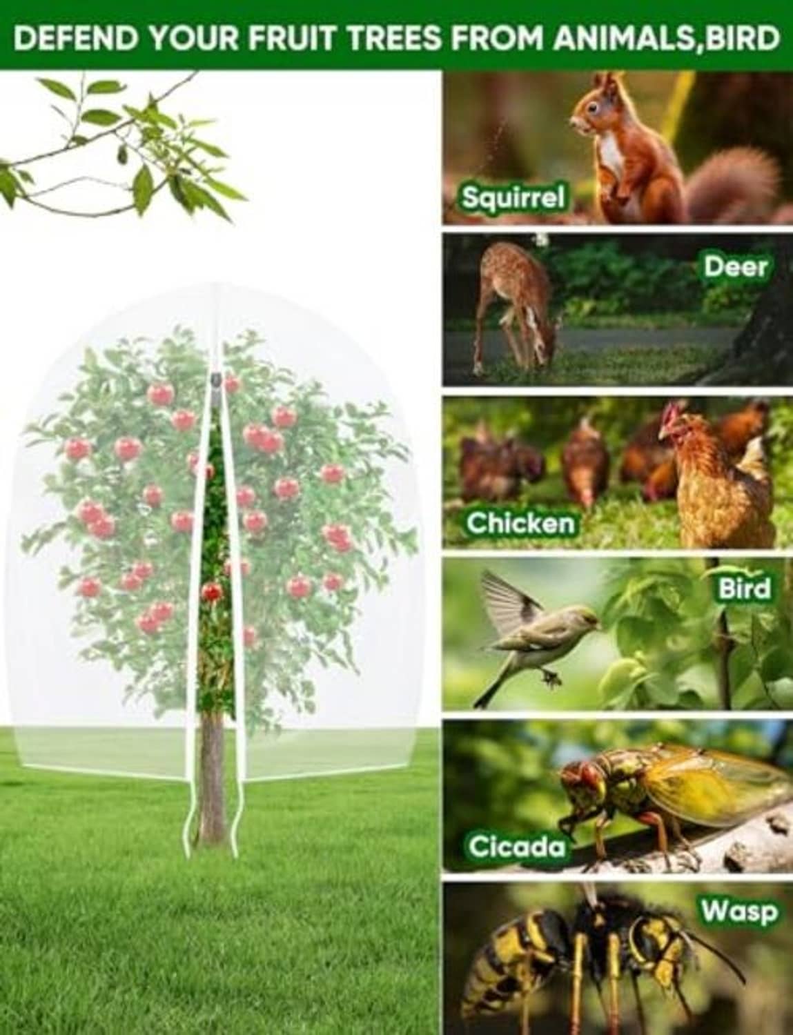 White mesh fruit tree netting with zipper cover, protecting fruit trees from garden pests