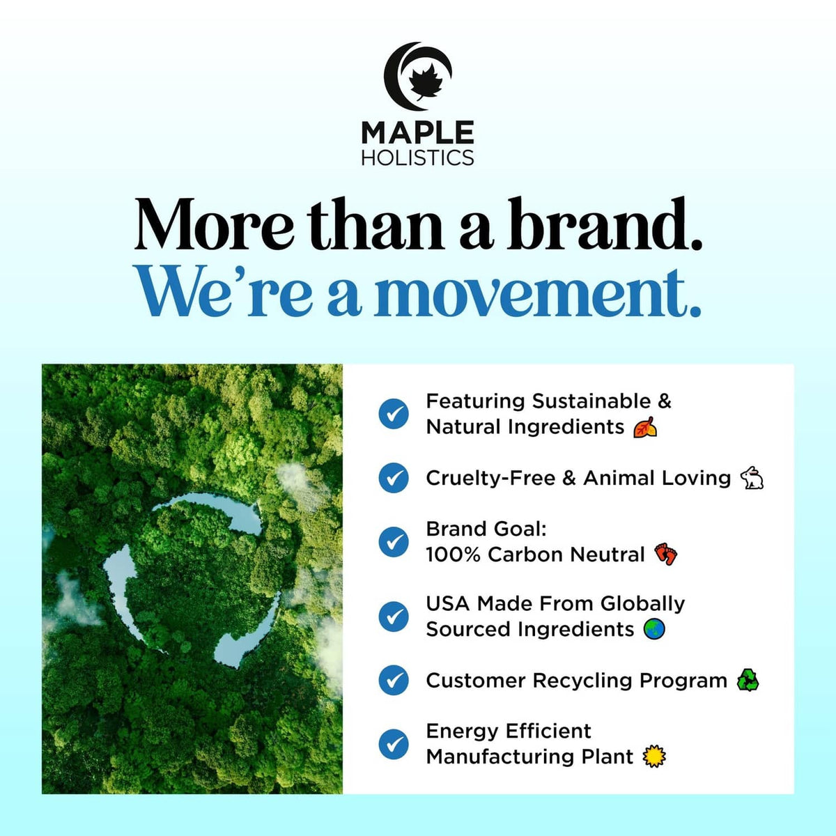 Maple Holistics brand mission graphic with eco and recycling icons