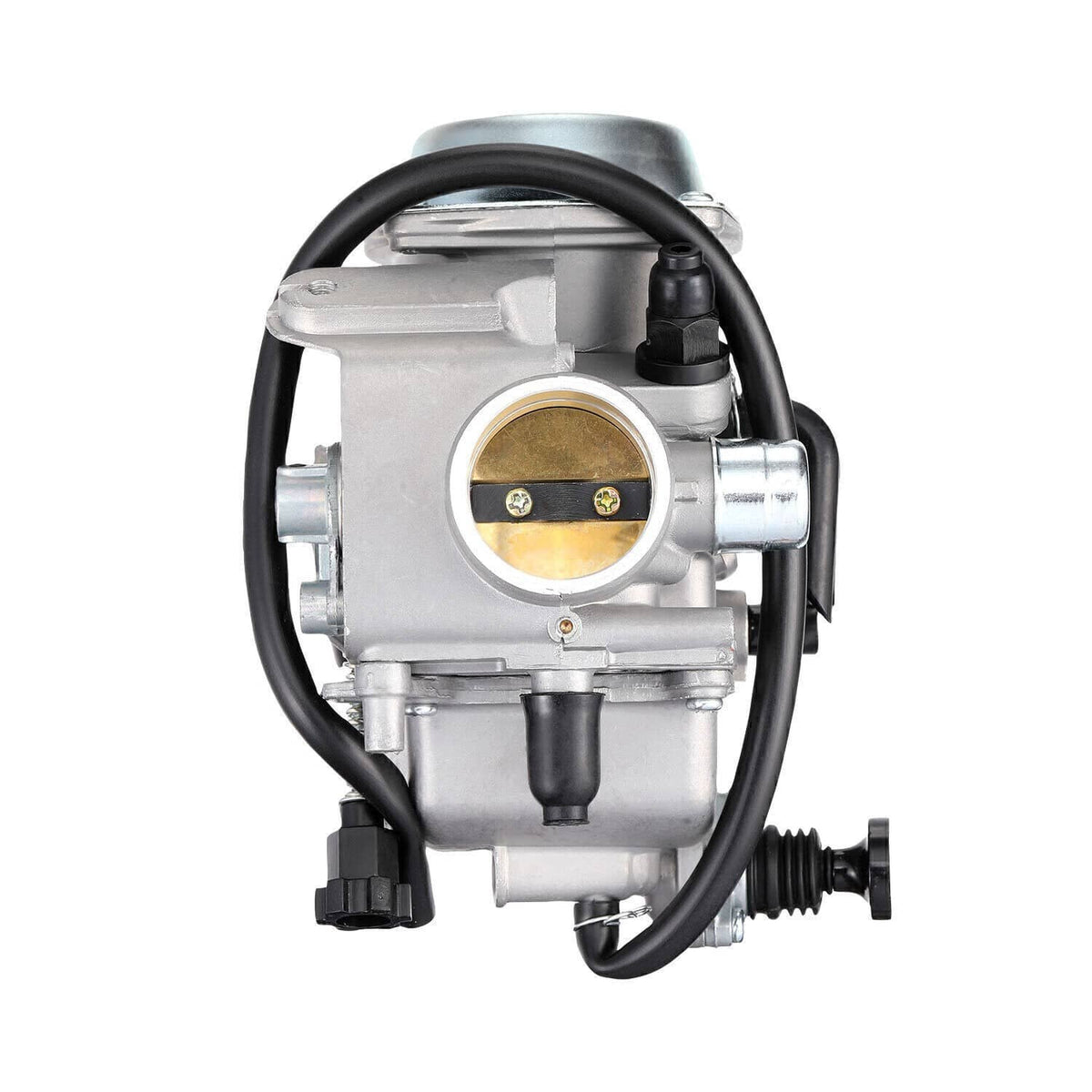 Carburetor front view with circular throttle bore and arched black intake hose