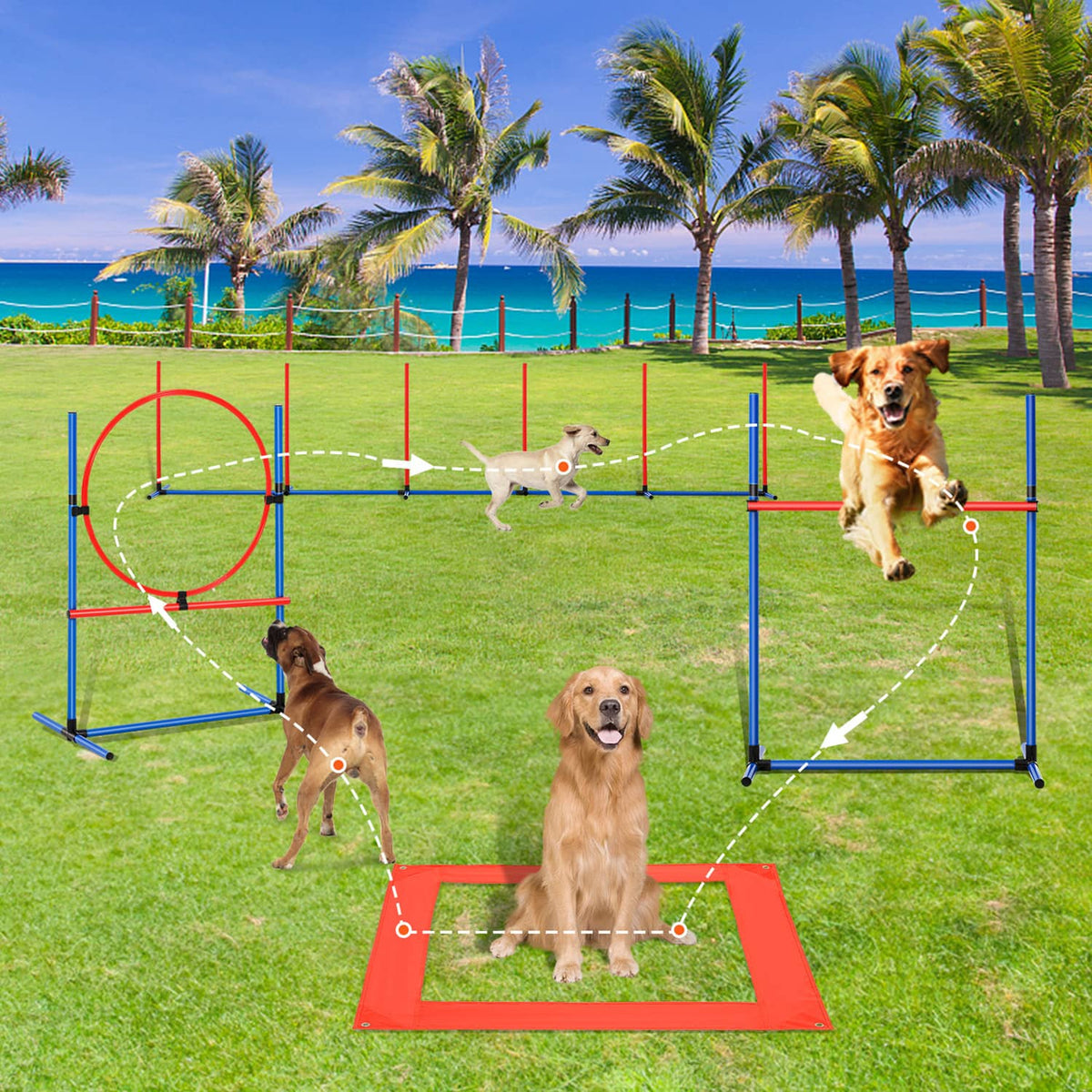 Dog agility jump course with blue hurdles, orange hoop ring, and red pause board