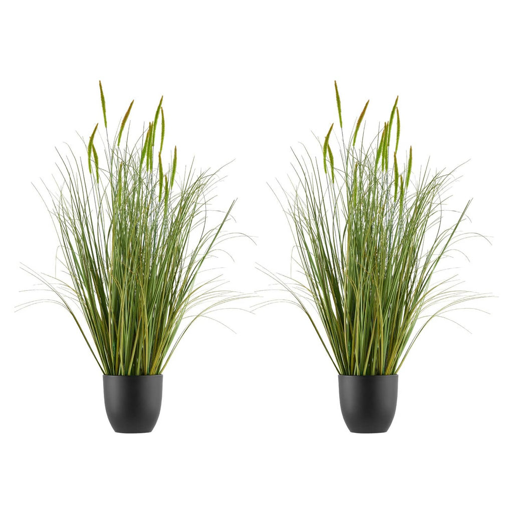 Two artificial cattail grass plants in black pots, green stems for indoor or outdoor decor