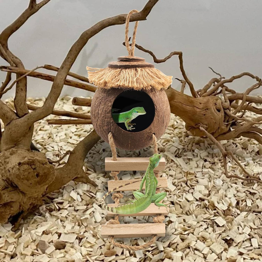 Round coconut gecko hide with wooden ladder and hanging loop, green gecko peeking inside