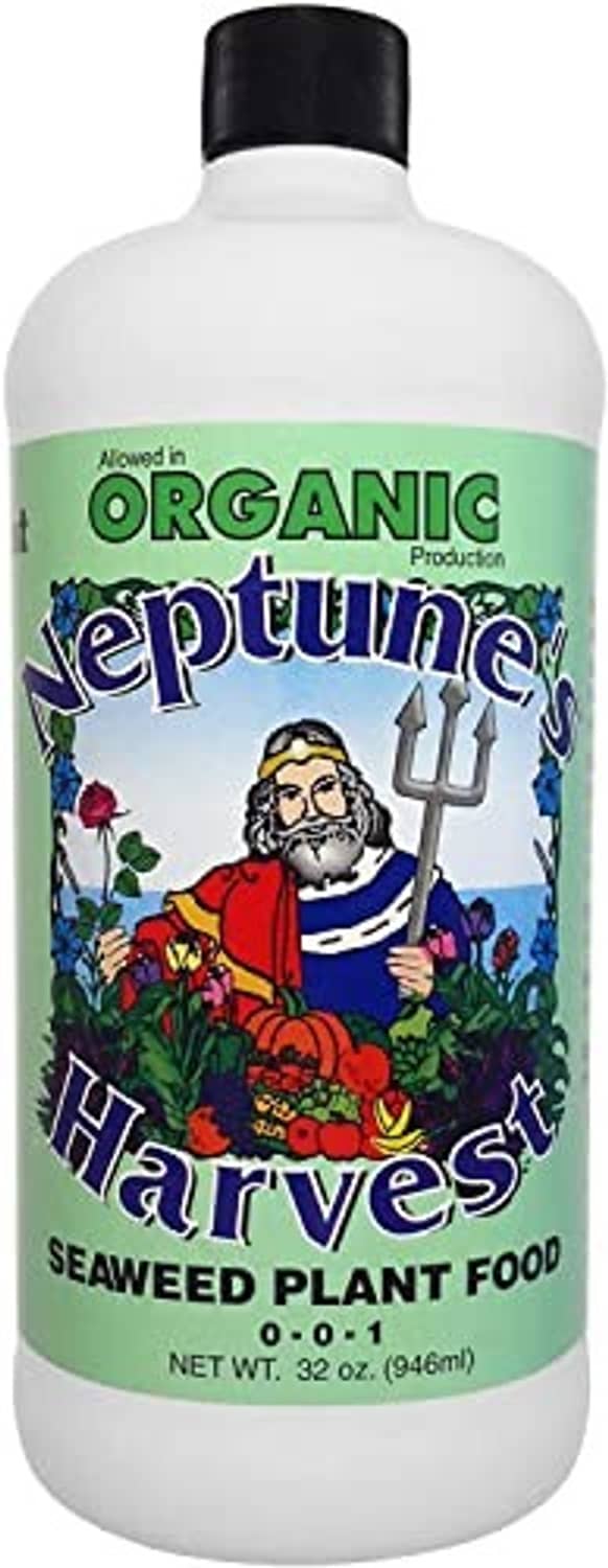 Seaweed fertilizer bottle with white and green label reading Organic Neptune's Harvest