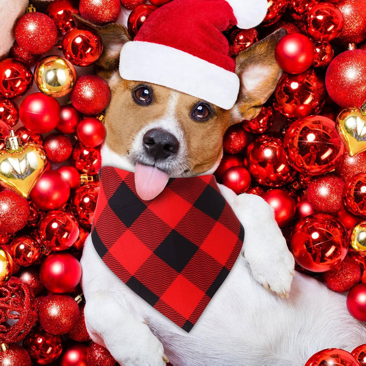 Dog wearing a red-and-green plaid bandana with black diamond pattern and tie