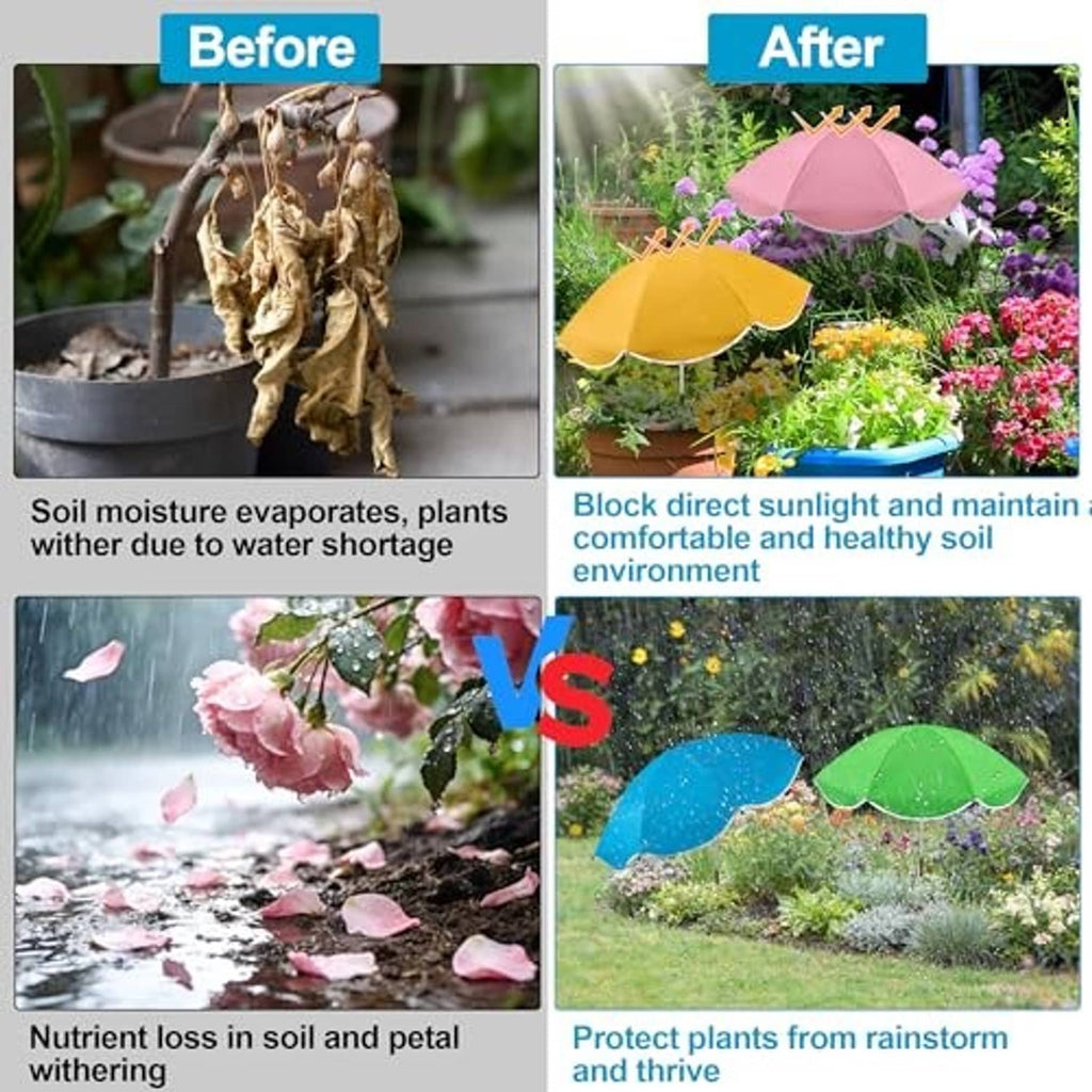 Before-and-after garden comparison with pink, yellow, green, and blue plant umbrellas