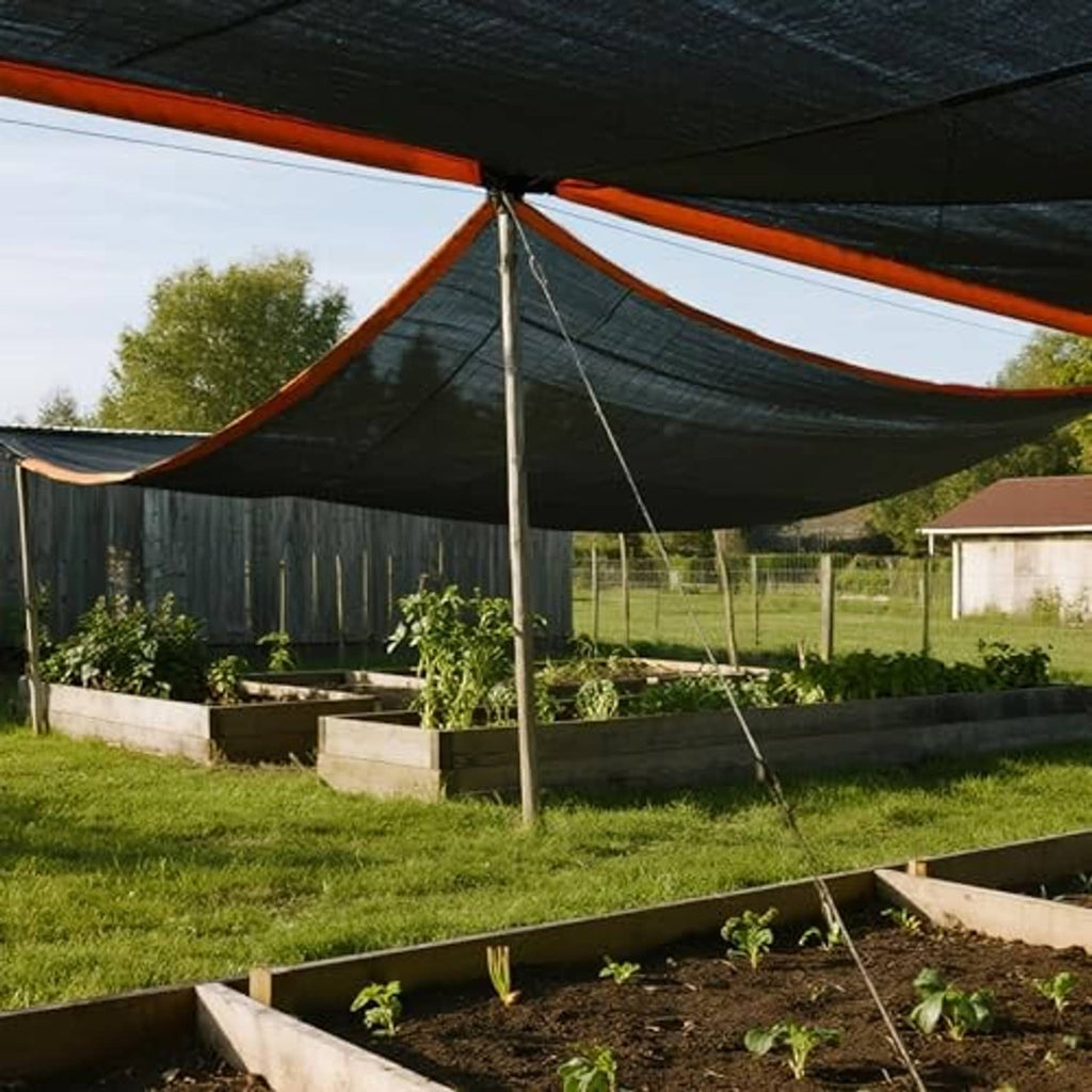 Black shade cloth tarp stretched overhead as outdoor canopy over garden beds