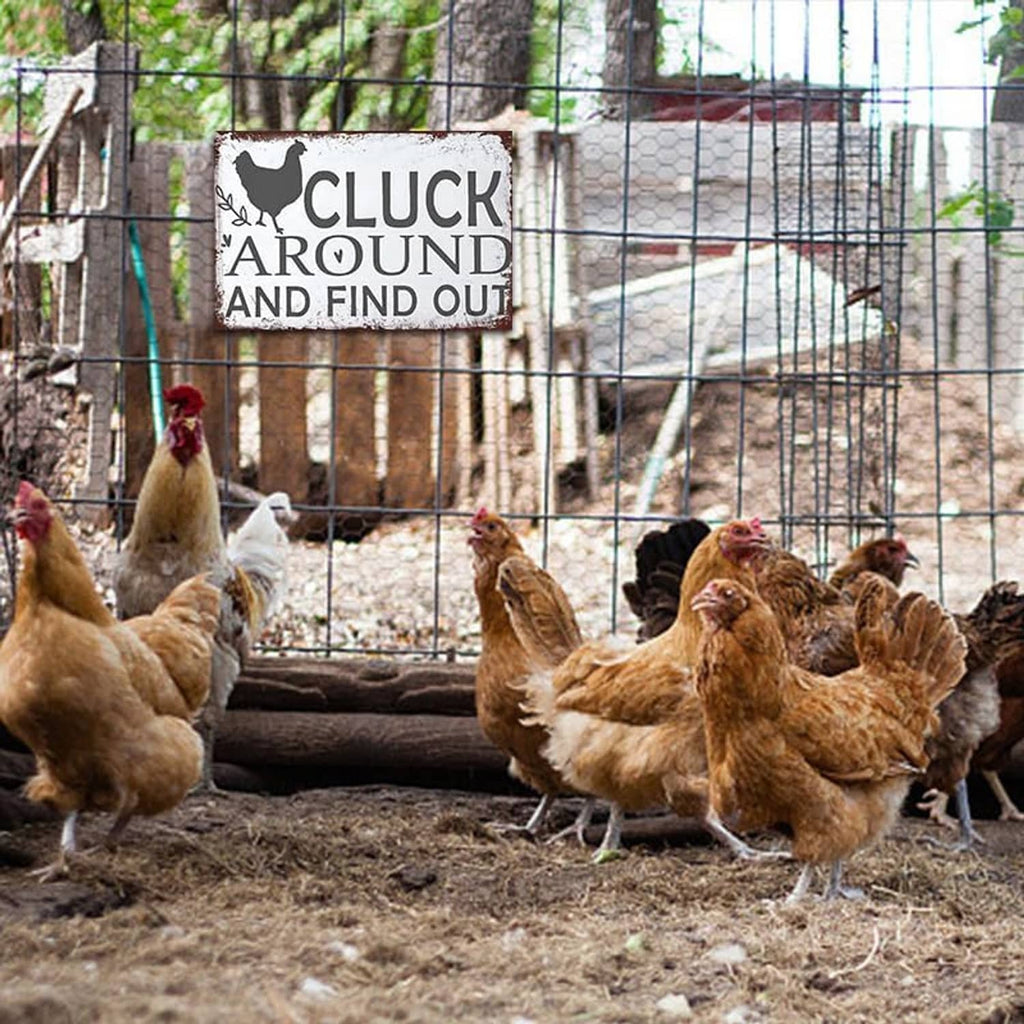Chicken coop wall sign reading 'Cluck Around And Find Out' beside roosters and hens