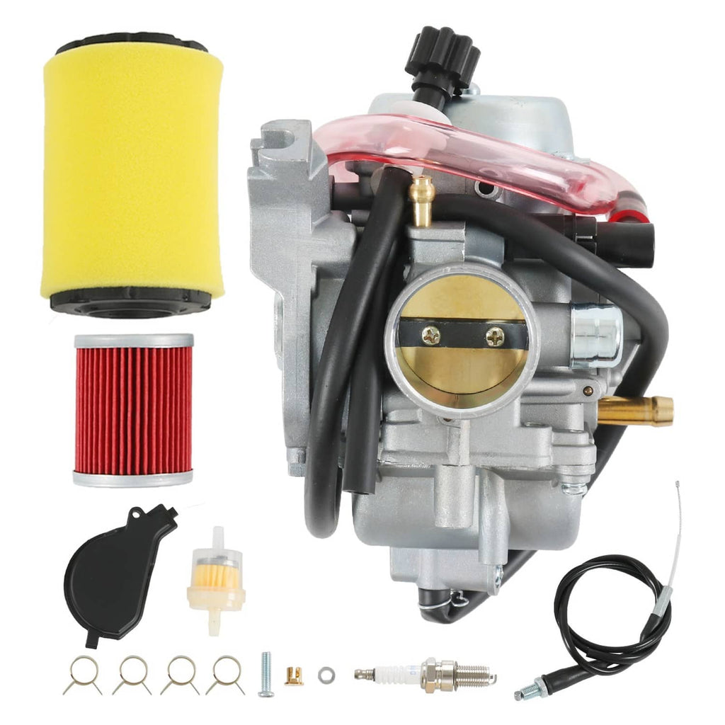 Carburetor assembly with manual choke, air filter and spark plug items shown