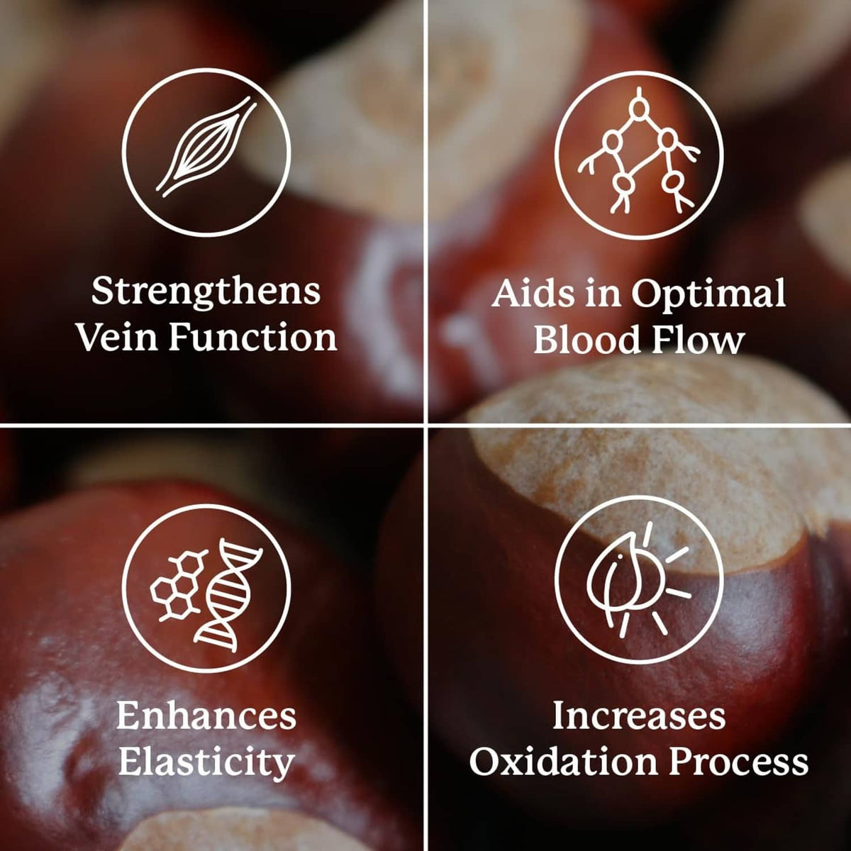 Supplement benefits icons: strengthens vein function, aids blood flow, enhances elasticity