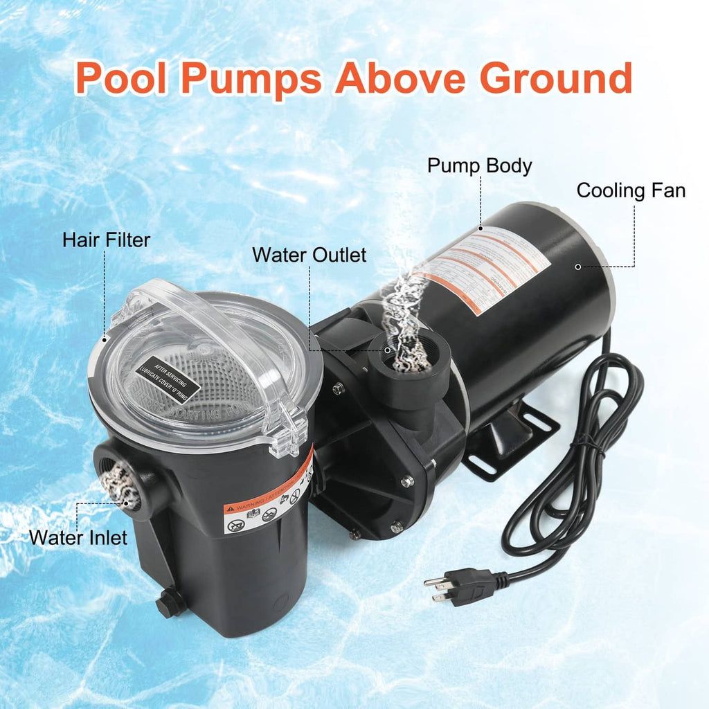 Black pool pump with clear strainer cover and cooling fan, inlet/outlet ports visible