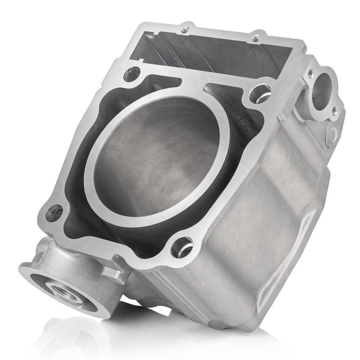Cylinder top end housing with large bore and black gasket outline