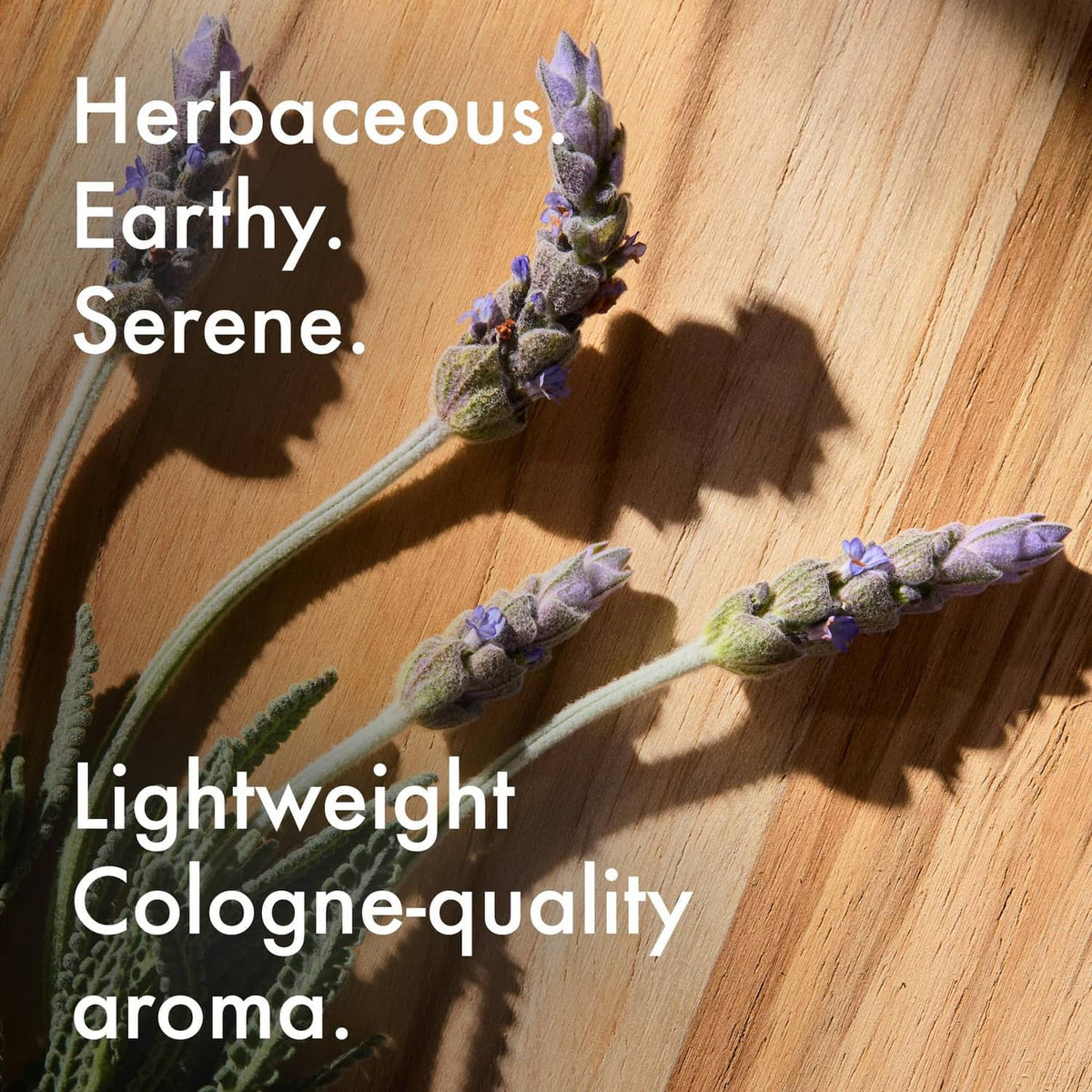 Lavender sprigs on wood indicating a light herbal pre-shave oil aroma.
