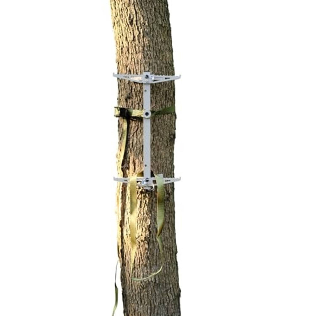 Aluminum climbing sticks with foot platforms and safety strap on a tree trunk