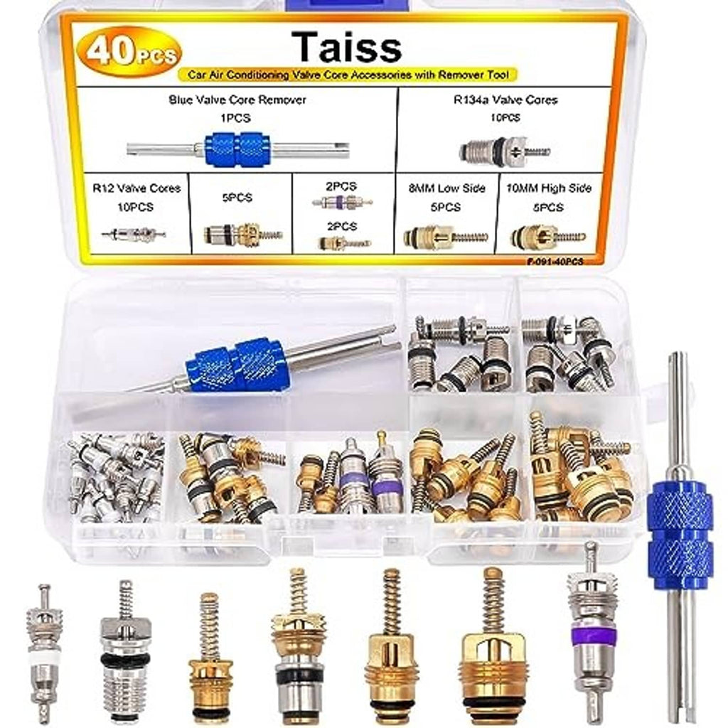 A/C valve core remover tool with assorted valve cores in a plastic case