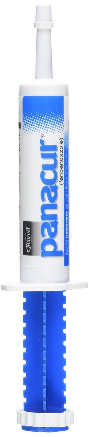 Horse dewormer paste syringe applicator, white plastic with blue label