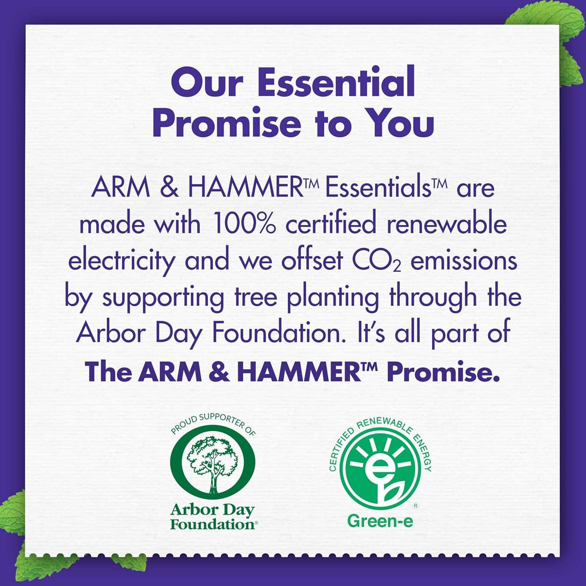 ARM & HAMMER Essentials promise graphic with renewable electricity and CO2 offset