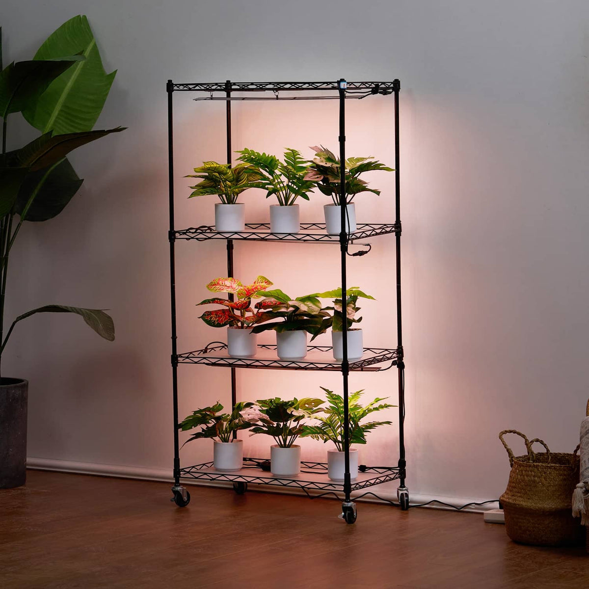 Tall black 4-tier plant stand with potted plants, illuminated grow lights in a room